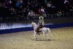 Quadrille - 00157